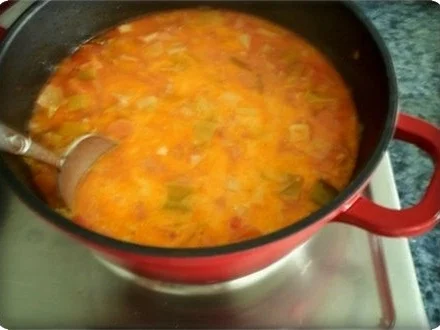 Rezept: Bunte Gemüsesuppe mit WURSTKRANZ Bild Nr. 19 Bunte Gemüsesuppe mit WURSTKRANZ - Rezept - Bild Nr. 19