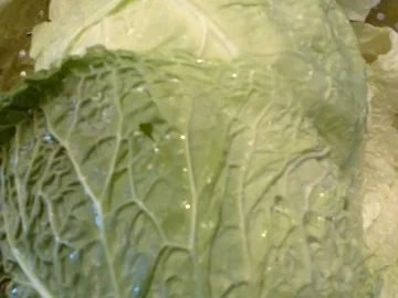 Rochen auf Wirsing - Rezept - Bild Nr. 2