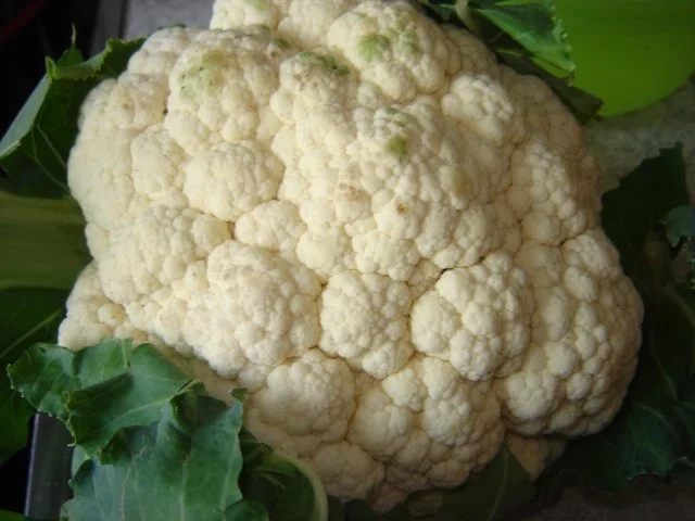 Rezept: Blumenkohl und Möhren im Eimantel Bild Nr. 2 Blumenkohl und Möhren im Eimantel - Rezept - Bild Nr. 2