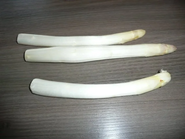 Rezept: Reis mit Spargel, Mango & Honig ! Bild Nr. 5 Reis mit Spargel, Mango & Honig ! - Rezept - Bild Nr. 5