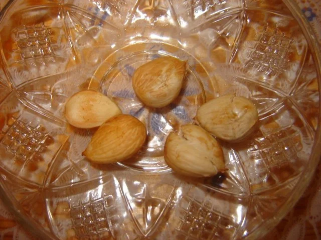 Aprikosenmarmelade - Rezept - Bild Nr. 8