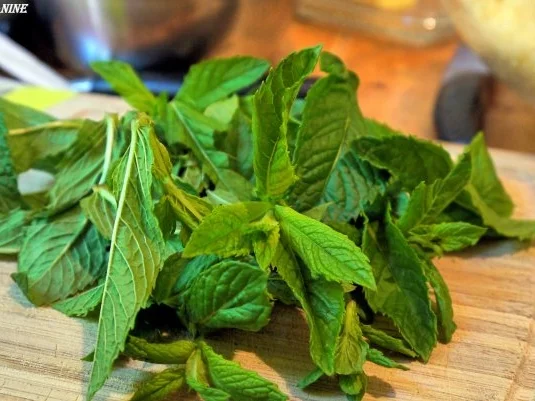 Bachsaibling auf Tabouleh - Rezept - Bild Nr. 6