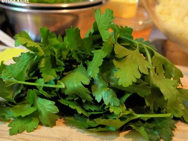 Bachsaibling auf Tabouleh - Rezept - Bild Nr. 7