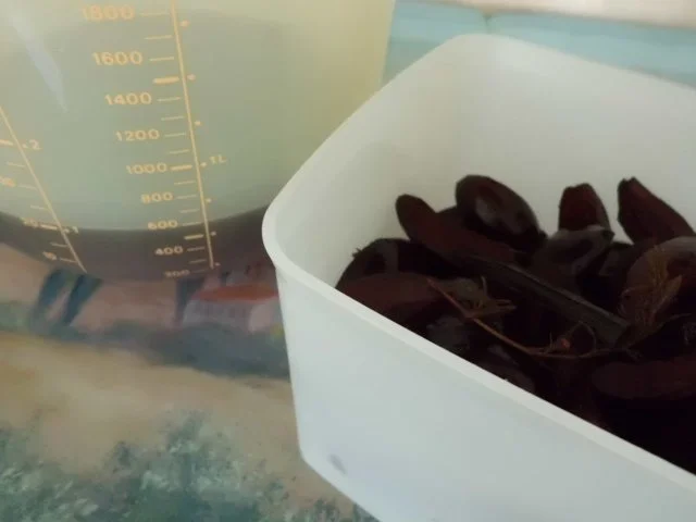 Rezept: Liköre: Zwetschgenlikör mit Mandeln und Thymian Bild Nr. 5 Liköre: Zwetschgenlikör mit Mandeln und Thymian - Rezept - Bild Nr. 5