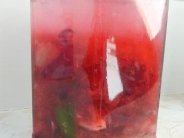 Liköre: Cranberry-Limetten-Likör mit Kokos-Rum - Rezept - Bild Nr. 6