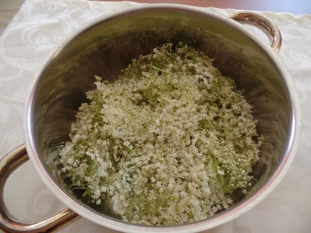 Holunderblütengelee - Rezept - Bild Nr. 2