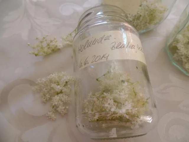 Holunderblütengelee - Rezept - Bild Nr. 4