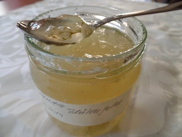 Holunderblütengelee - Rezept - Bild Nr. 6