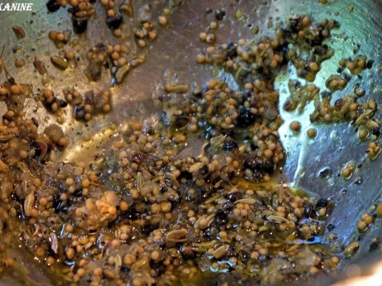 Würziges Roastbeef, Gewürzgurken-Dip, Kartoffelsalat, Honigmöhrchen - Rezept - Bild Nr. 4