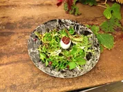 Erdesbacher Ziegenkäse mit Feigen und Wildkräutersalat - Rezept