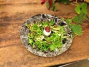 Erdesbacher Ziegenkäse mit Feigen und Wildkräutersalat - Rezept