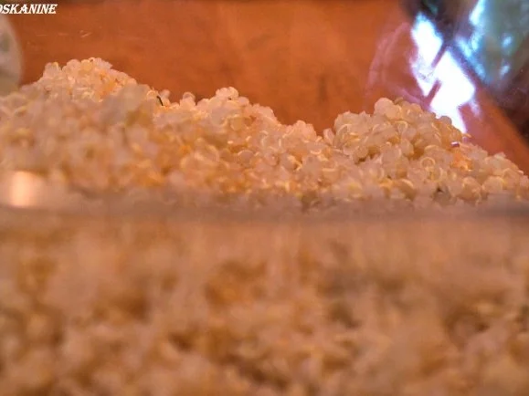 Rezept: Quinoasalat mit Aprikosen, Tomaten und Hähnchenbrust Bild Nr. 2 Quinoasalat mit Aprikosen, Tomaten und Hähnchenbrust - Rezept - Bild Nr. 2