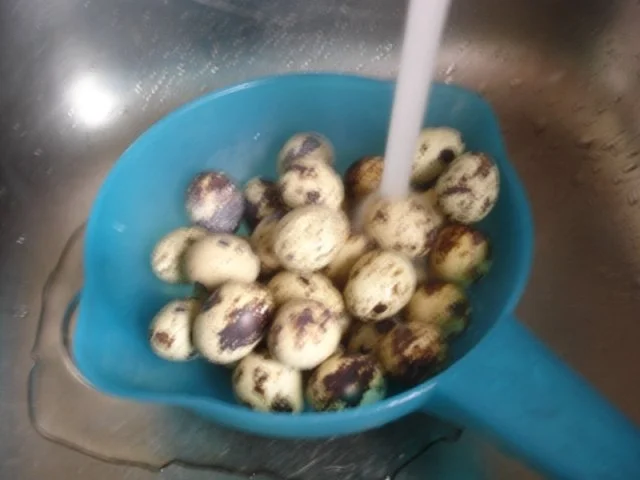 Wachteleiersalat - Rezept - Bild Nr. 4