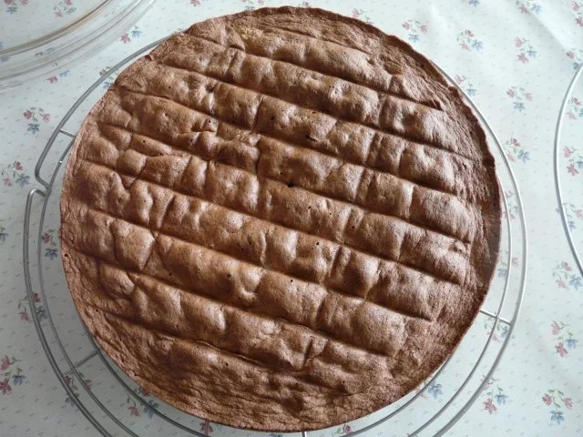 Bisquitboden - Rezept