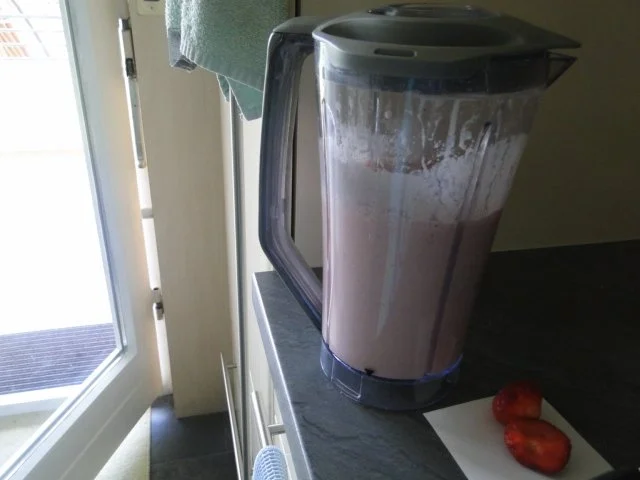 Rezept: Gefrostete Erdbeermilch zum löffeln oder mit Trinkstrohhalm Bild Nr. 2 Gefrostete Erdbeermilch zum löffeln oder mit Trinkstrohhalm - Rezept - Bild Nr. 2