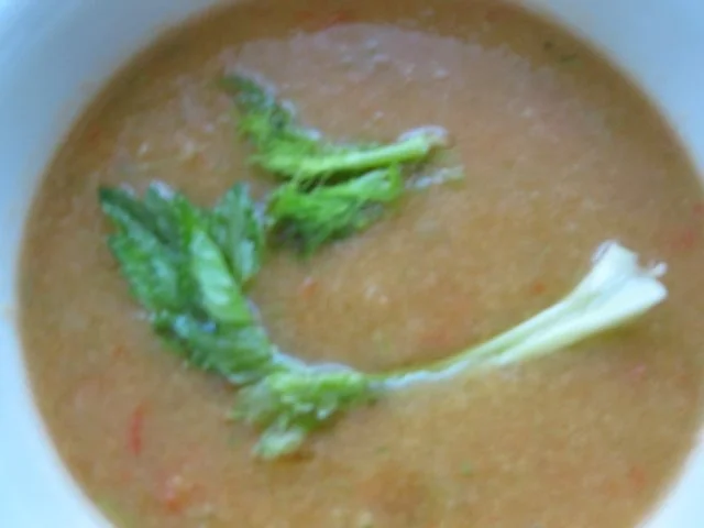 Gazpacho - Rezept - Bild Nr. 2