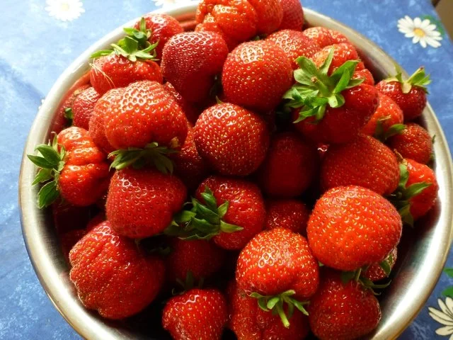 Rezept: Warmer Erdbeerkuchen mit Vanillesauce Bild Nr. 4 Warmer Erdbeerkuchen mit Vanillesauce - Rezept - Bild Nr. 4