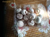 Rezept: Pfannengerichte: Rรผhrei gepaart mit Champignons und Kochschinken Pfannengerichte: Rรผhrei gepaart mit Champignons und Kochschinken - Rezept