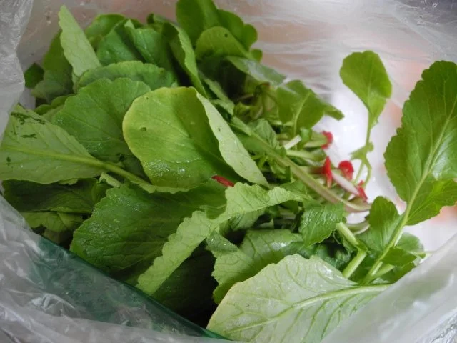 Smoothie : Pure Energie - Radieschen - Grün mit Banane - Rezept - Bild Nr. 2