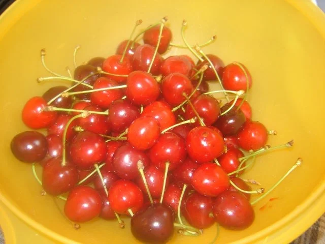 Eingekochte Kirschen - Rezept - Bild Nr. 2