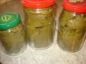 Vorratshaltung: Weinblätter einkochen - Rezept