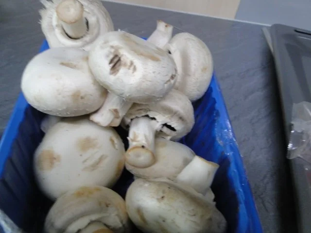 Rezept: Traumpizza mit allen Köstlichkeiten die ich mag. Bitte durchlesen Bild Nr. 2 Traumpizza mit allen Köstlichkeiten die ich mag. Bitte durchlesen - Rezept - Bild Nr. 2