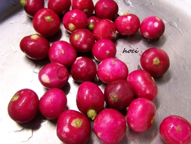 Rezept: Radieschen-Käsesüppchen mit kleinem Hähnchenspiess Bild Nr. 2 Radieschen-Käsesüppchen mit kleinem Hähnchenspiess - Rezept - Bild Nr. 2