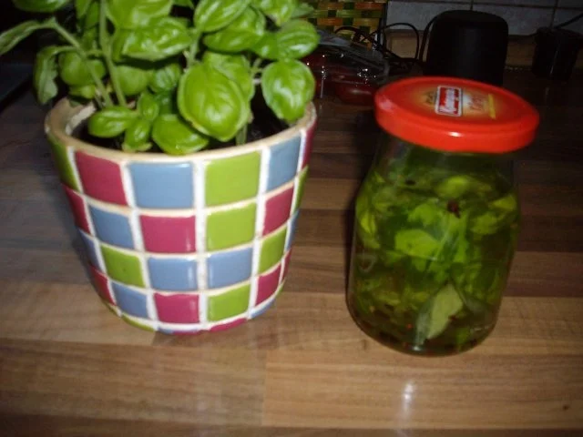 Rezept: basillikumöl Bild Nr. 3 basillikumöl - Rezept - Bild Nr. 3