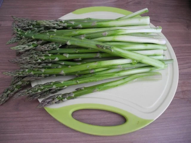 Vegan : Gemüse - Spargel - Frikassee - Rezept - Bild Nr. 8