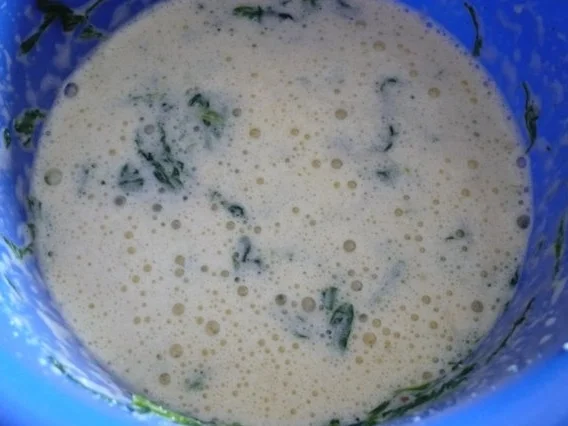 Rezept: Lachsrolle Bild Nr. 3 Lachsrolle - Rezept - Bild Nr. 3