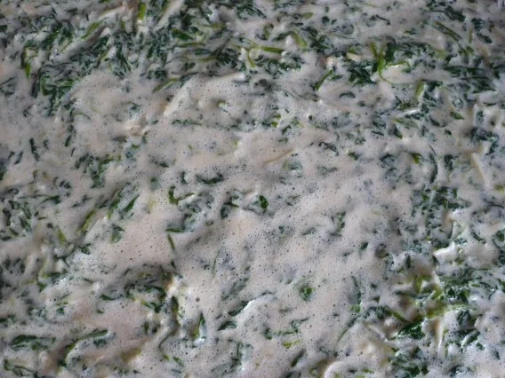 Rezept: Lachsrolle Bild Nr. 5 Lachsrolle - Rezept - Bild Nr. 5