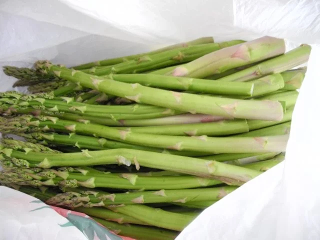 Rezept: Vegan : Quartett auf dem Teller Bild Nr. 4 Vegan : Quartett auf dem Teller - Rezept - Bild Nr. 4