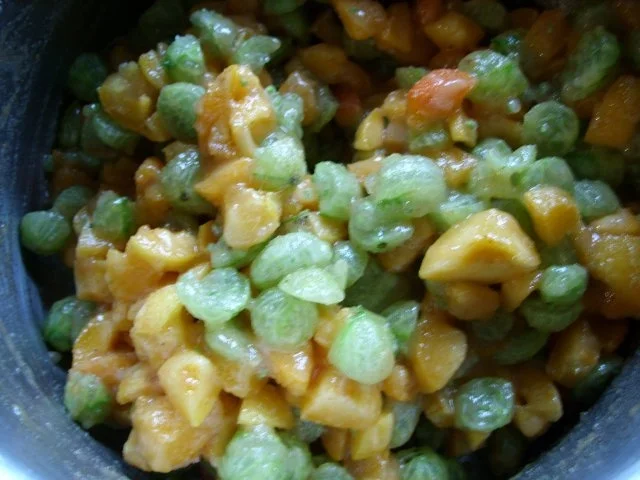 Rezept: Konfitüre & Co: Stachelbeer - Aprikose mit Zimt 2014 Bild Nr. 2 Konfitüre & Co: Stachelbeer - Aprikose mit Zimt 2014 - Rezept - Bild Nr. 2