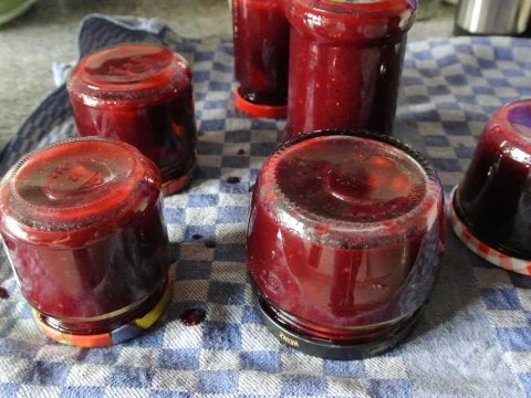 Beer-cardi - Rezept - Bild Nr. 3