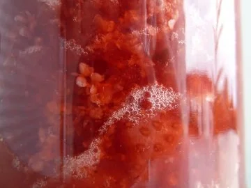 traumhafte Erdbeer-Holunderblüten-Marmelade - Rezept - Bild Nr. 4