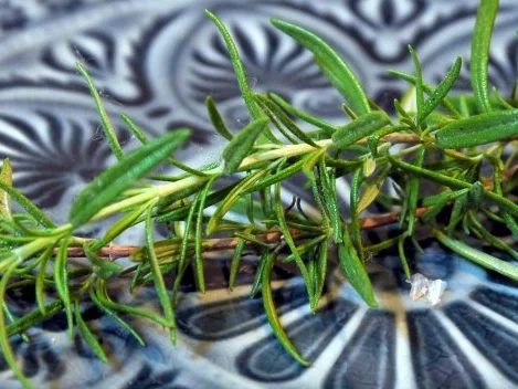 Marinierter Ziegenfeta - Rezept - Bild Nr. 5