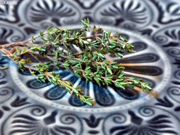 Marinierter Ziegenfeta - Rezept - Bild Nr. 6