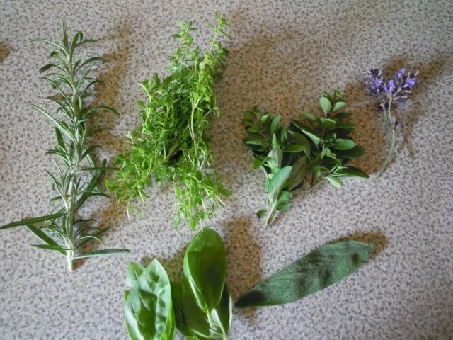 mediterane Lachs Pfanne - Rezept - Bild Nr. 4