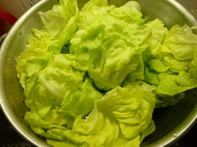 Ein frischer Gartensalat - Rezept - Bild Nr. 7