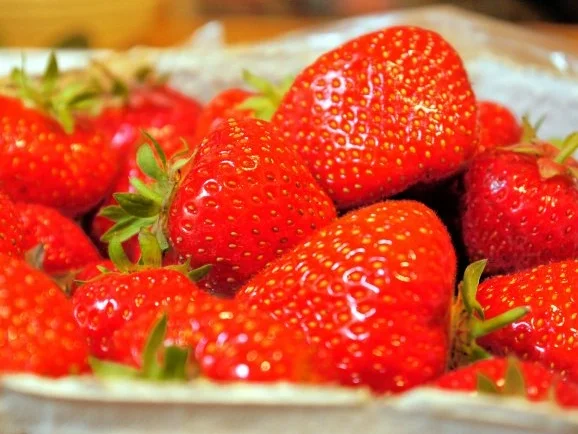 Rezept: Erdbeer-Gurken-Salsa Bild Nr. 3 Erdbeer-Gurken-Salsa - Rezept - Bild Nr. 3