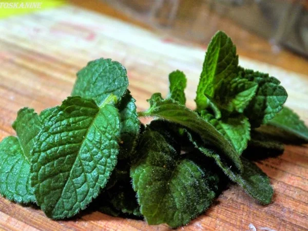 Rezept: Erdbeer-Gurken-Salsa Bild Nr. 7 Erdbeer-Gurken-Salsa - Rezept - Bild Nr. 7