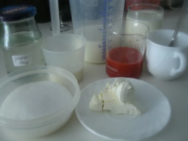 Rezept: Erdbeer-Buttermilch-Eis Bild Nr. 8 Erdbeer-Buttermilch-Eis - Rezept - Bild Nr. 8