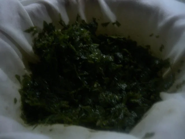 Minz-Likör - Rezept - Bild Nr. 4