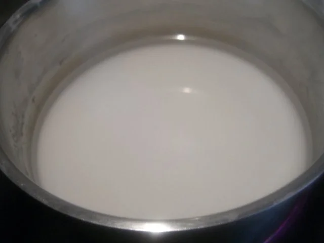 Minz-Likör - Rezept - Bild Nr. 3