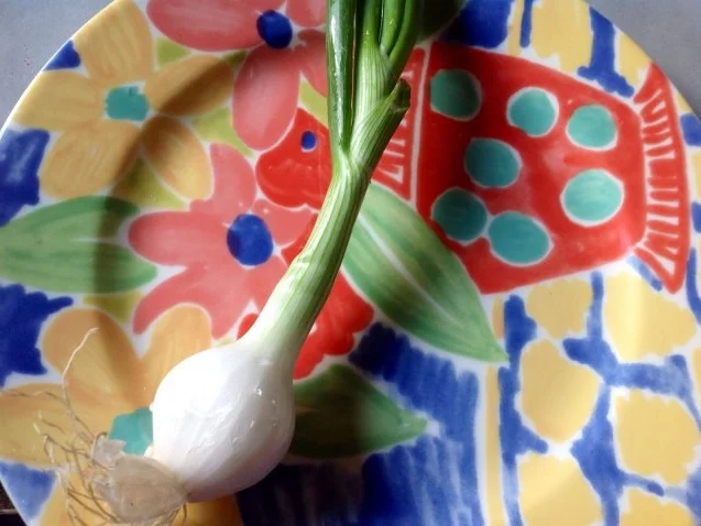 Eiersalat - Rezept - Bild Nr. 6