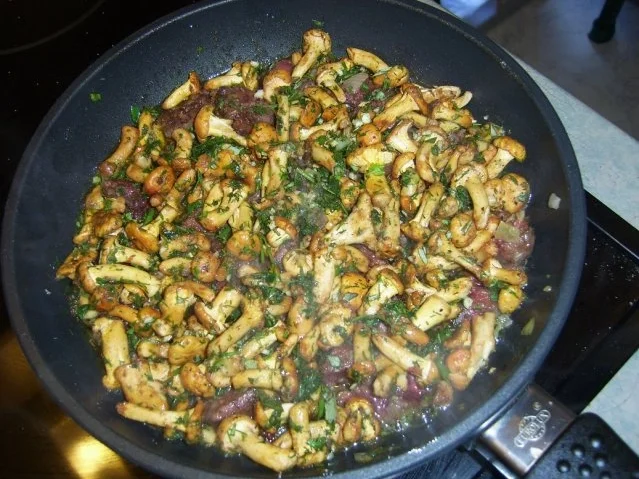 Rezept: Putenleber Stroganoff nach Jägerart Bild Nr. 6 Putenleber Stroganoff nach Jägerart - Rezept - Bild Nr. 6