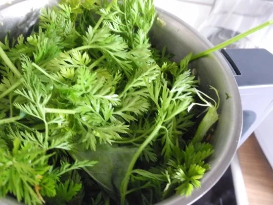 Smoothie : Energie - Smoothie Nr. 4 ...ganz in Grün - Rezept - Bild Nr. 2