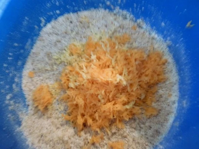 Rezept: Nussküchlein mit jungen Gartenmöhren. Bild Nr. 8 Nussküchlein mit jungen Gartenmöhren. - Rezept - Bild Nr. 8