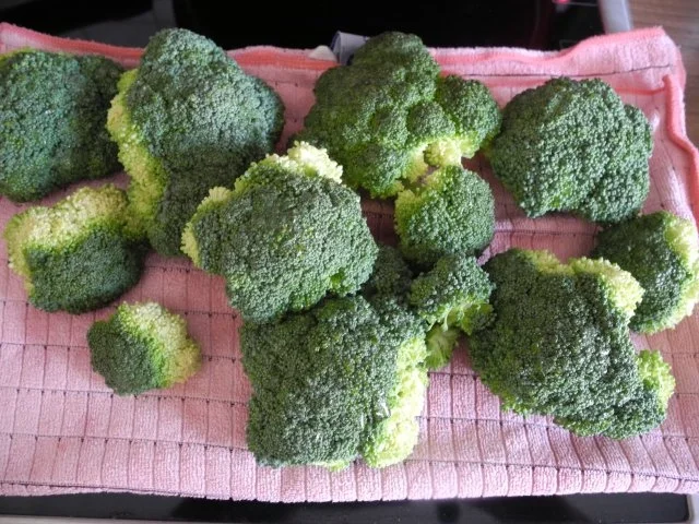 Vegan : Seitan - Pfanne mit Dreierlei-Beilage - Rezept - Bild Nr. 17