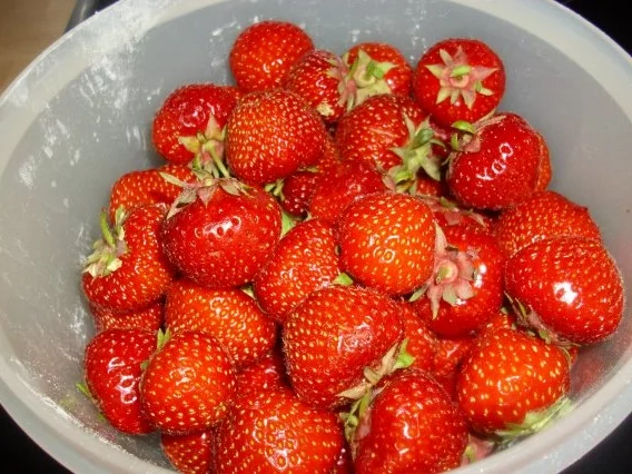 Erdbeer Kuchen - Rezept - Bild Nr. 3